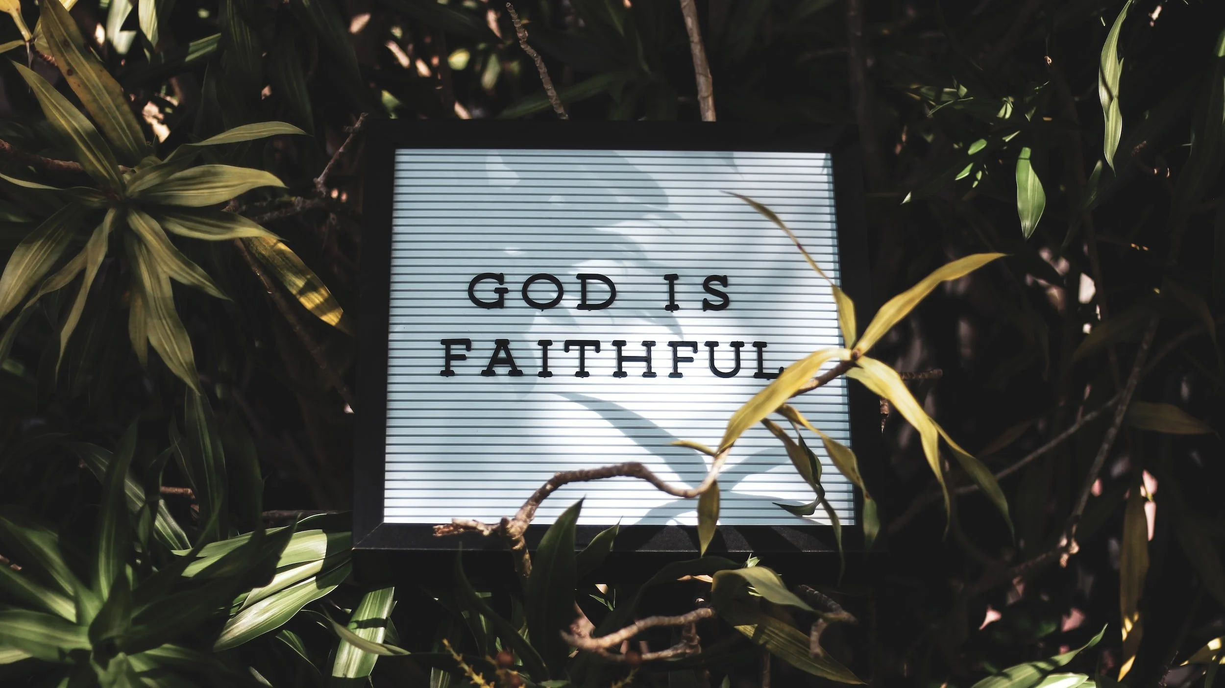 A sign among leaves reading God is faithful